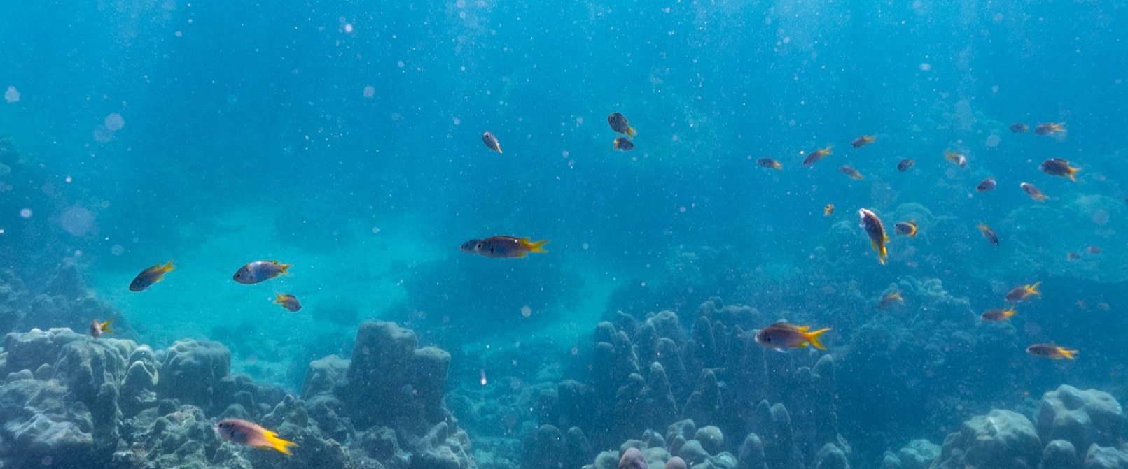 Underwater discovery