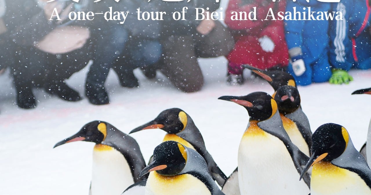 Hokkaido Asahiyama Zoo & Biei One Day Tour丨Chinese/English Bilingual Tour Guide + Optional Small Group + Optional Hotel Pick-up