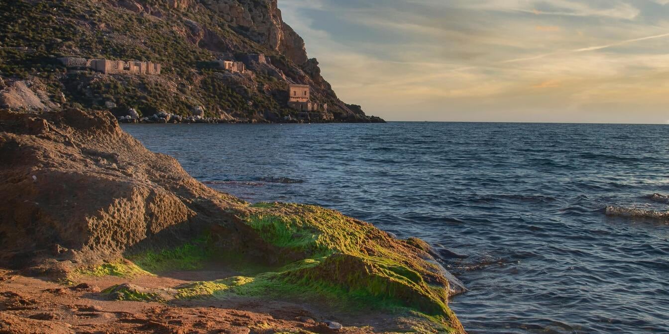 Cartagena: Private Guided Tour with Transport
