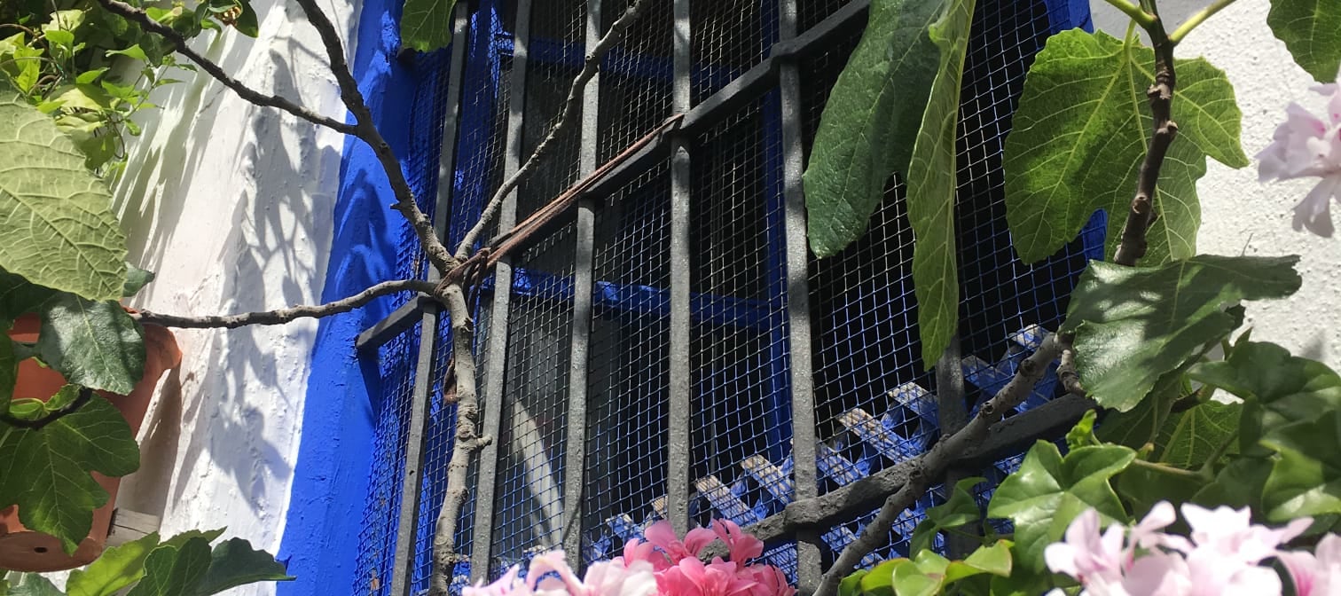 哥多華 (Cordoba) 庭院