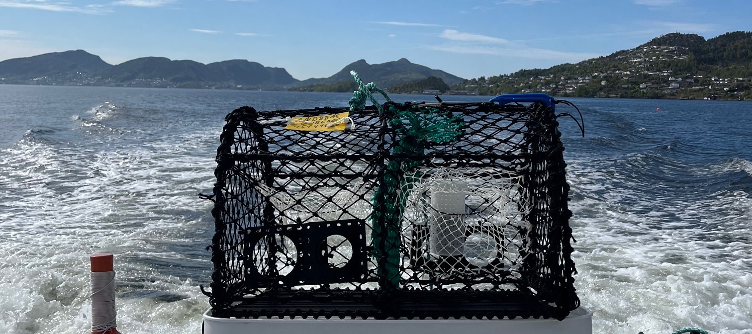 從卑爾根出發的峽灣海上探險之旅，包含釣魚和捕撈螃蟹