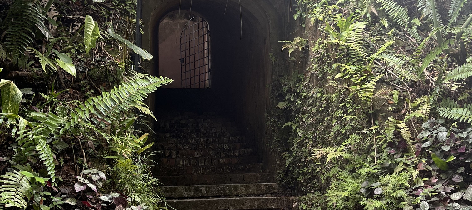 Fort Canning: Where History Meets Nature - Thumbnail 9