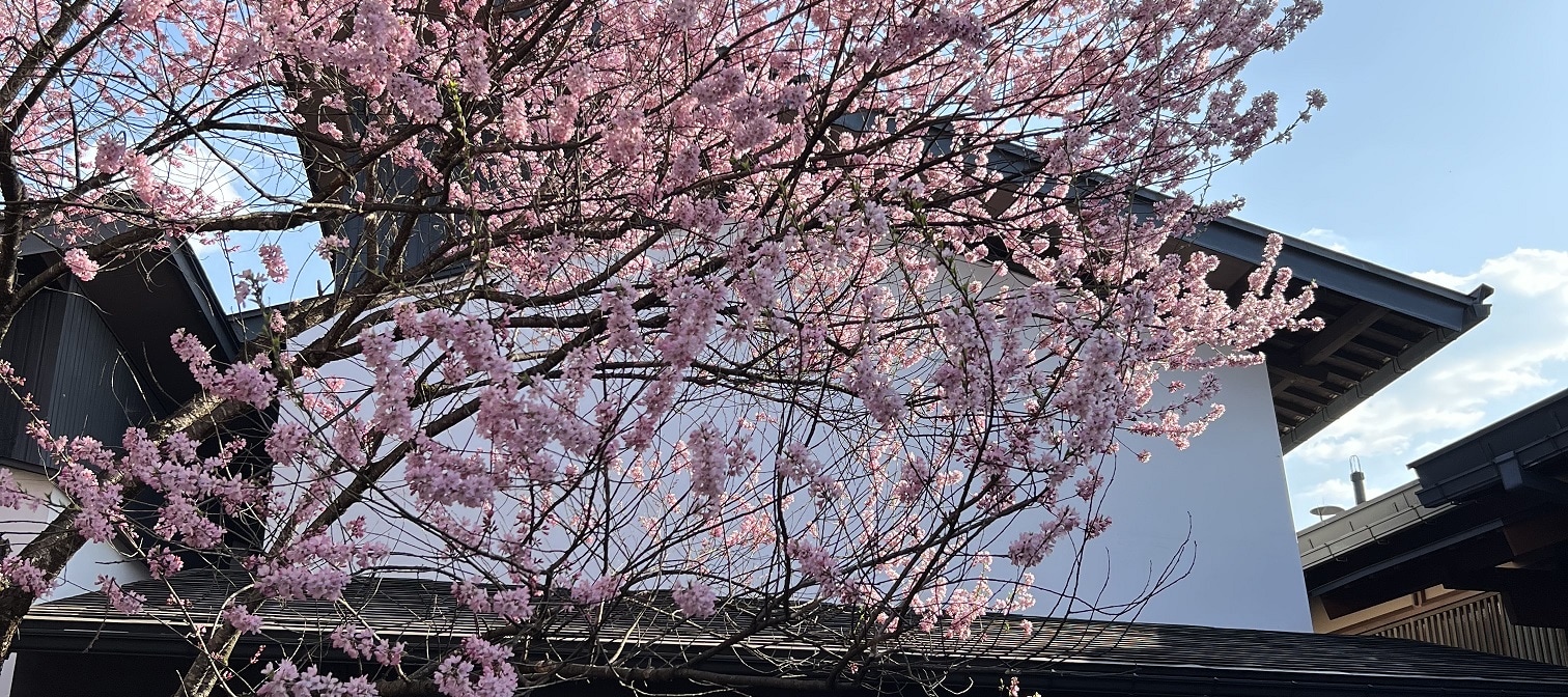 高山市觀光＆人力車體驗＆舩坂酒造店半日遊