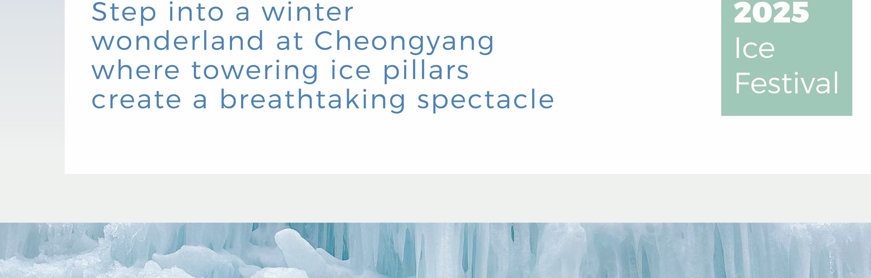 Cheongyang Ice Festival & Nami & Eobi Ice Valley & Strawberry Tour