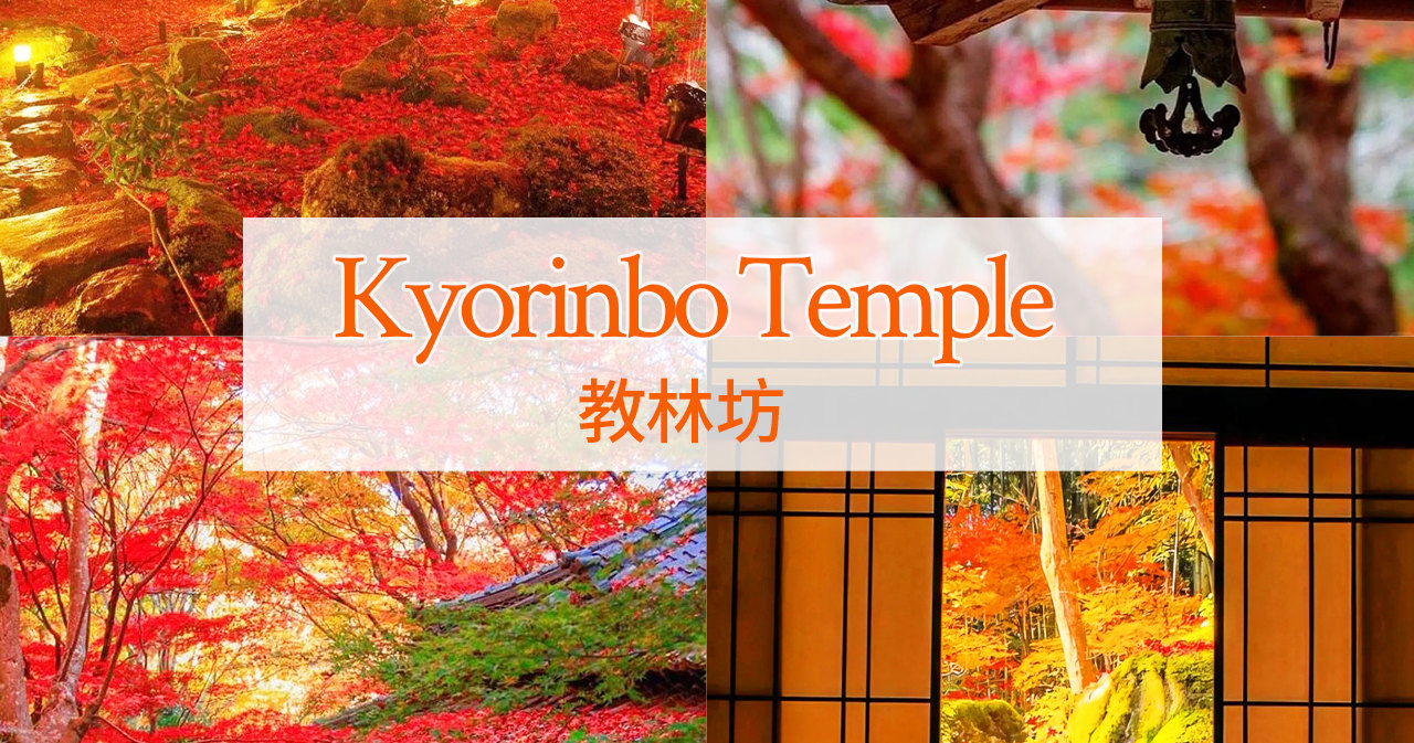 夜間點燈時，石庭與楓葉在燈火映照中宛如幻境，展現獨特的夢幻之美。