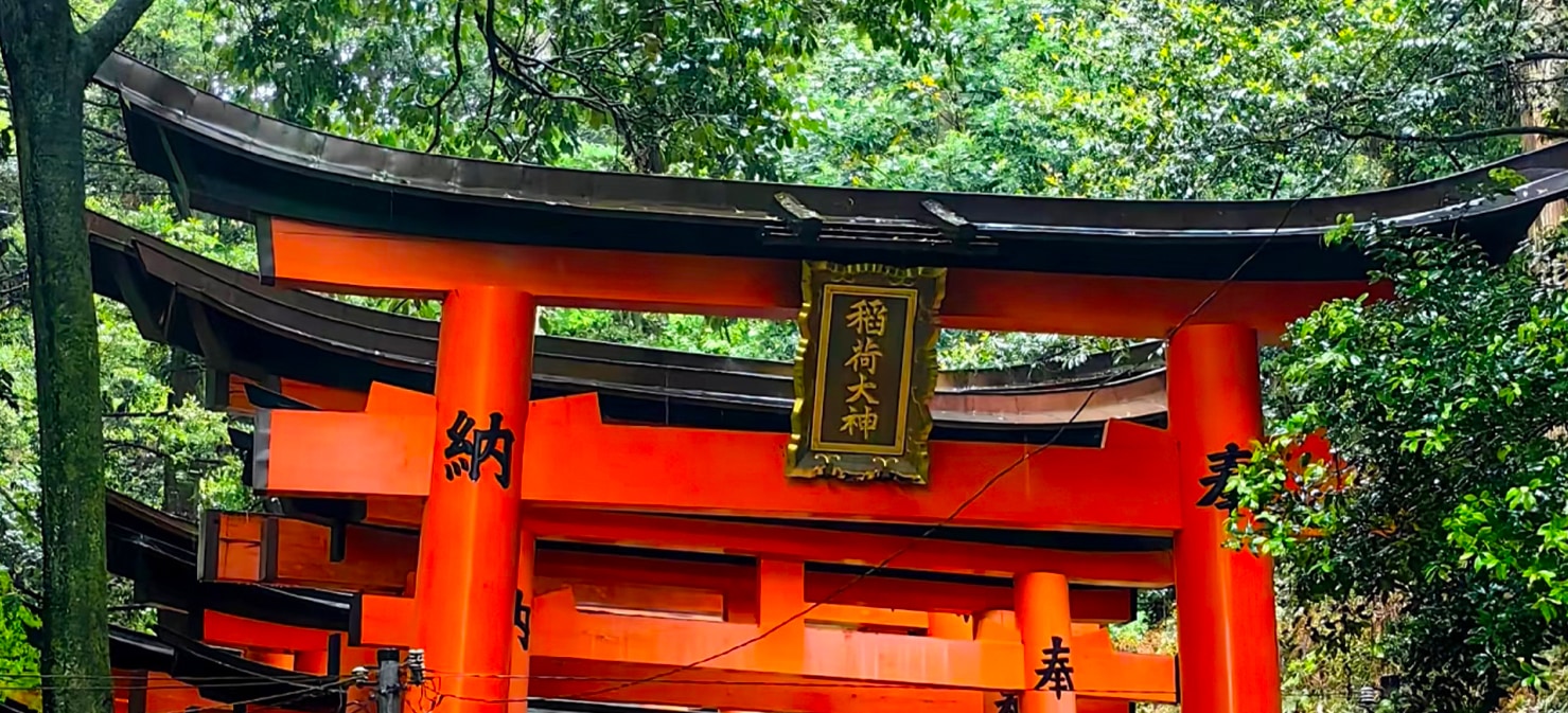 [Kyoto & Nara & Fushimi Inari Shrine Day Trip] Arashiyama Train & Nara Park & Fushimi Inari Shrine Thousand Torii Gates & Togetsukyo Bridge & Bamboo Forest Path & Kimono Experience (Departure from Osaka)