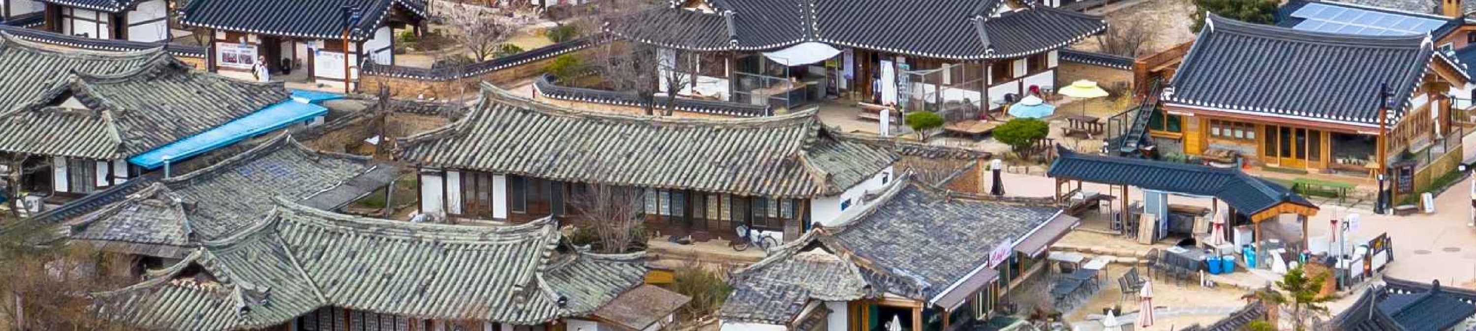 釜山 & 慶州一日遊（釜山出發）
