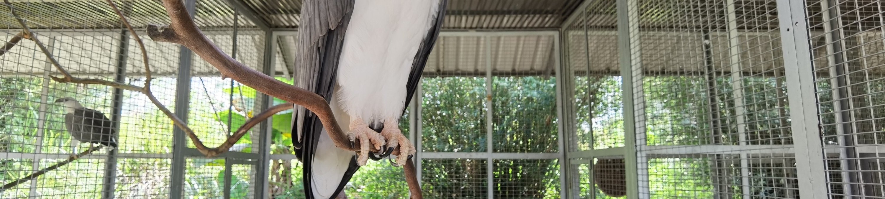 民丹島紅樹林 / 拉戈伊野生動物園 / 沙丘 & 藍湖 / 浮潛一日遊