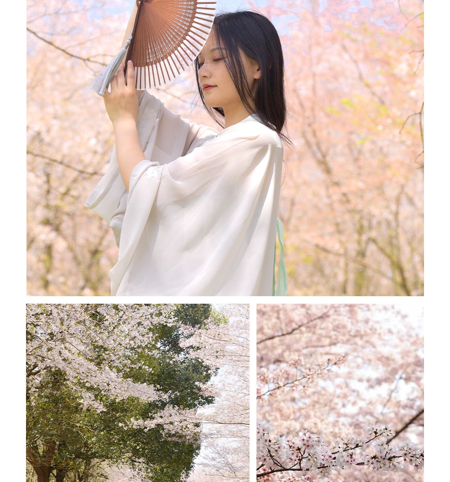 【櫻花限定】貴州平壩櫻花3天2晚（貴陽往返+四鑽酒店+平壩萬畝櫻花園+黃果樹大瀑布+櫻花旅拍+24小時接送機/站）