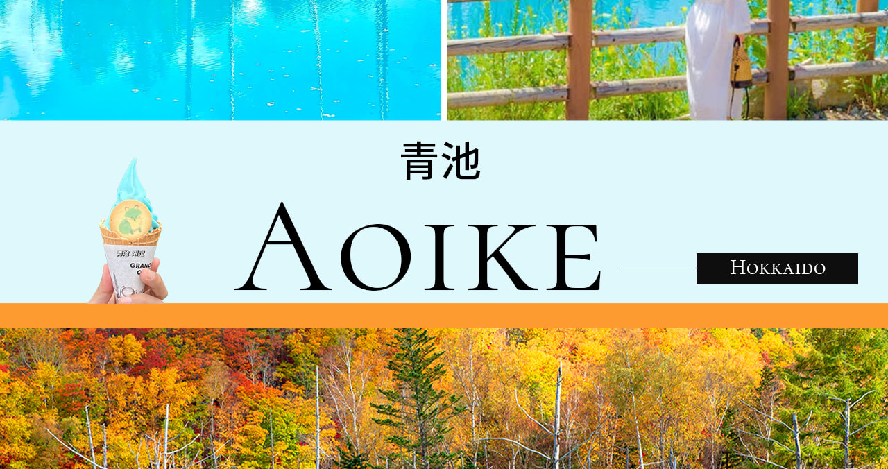 北海道賞花｜雲霄飛車之路&青池&四季彩之丘/富田農場&精靈露臺一日遊｜札幌出發｜可選含自助午餐