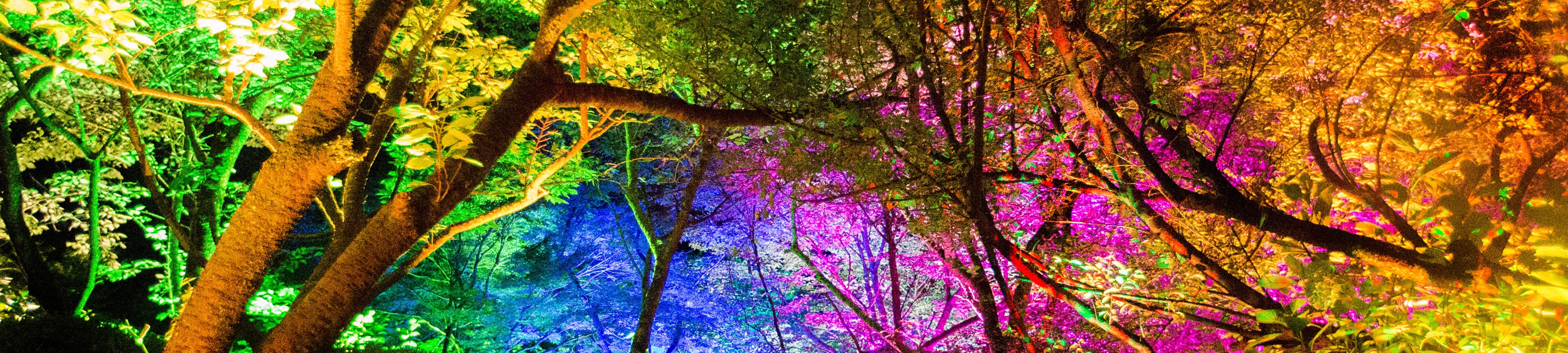九州佐賀御船山樂園《teamLab 神居住之森 - GC》門票
