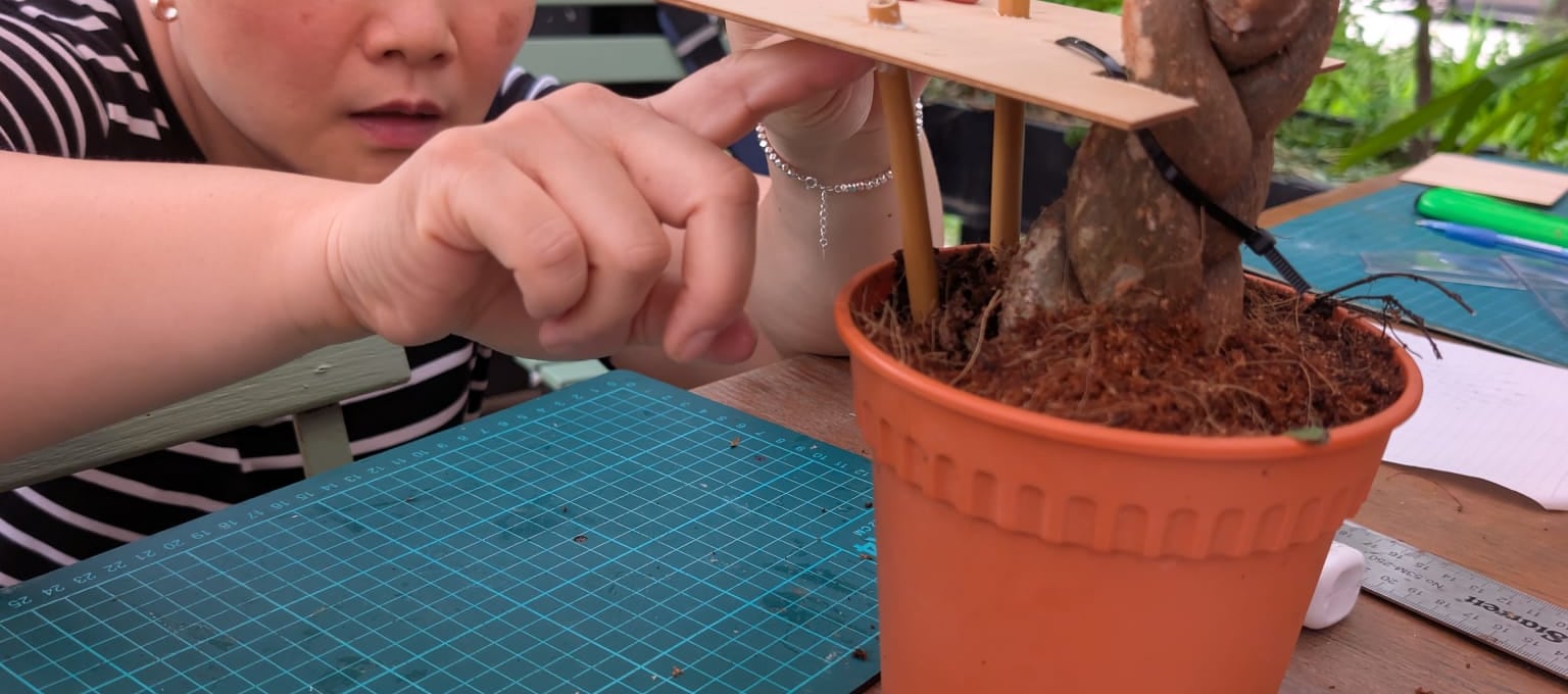 Get hands-on with wood-working tools