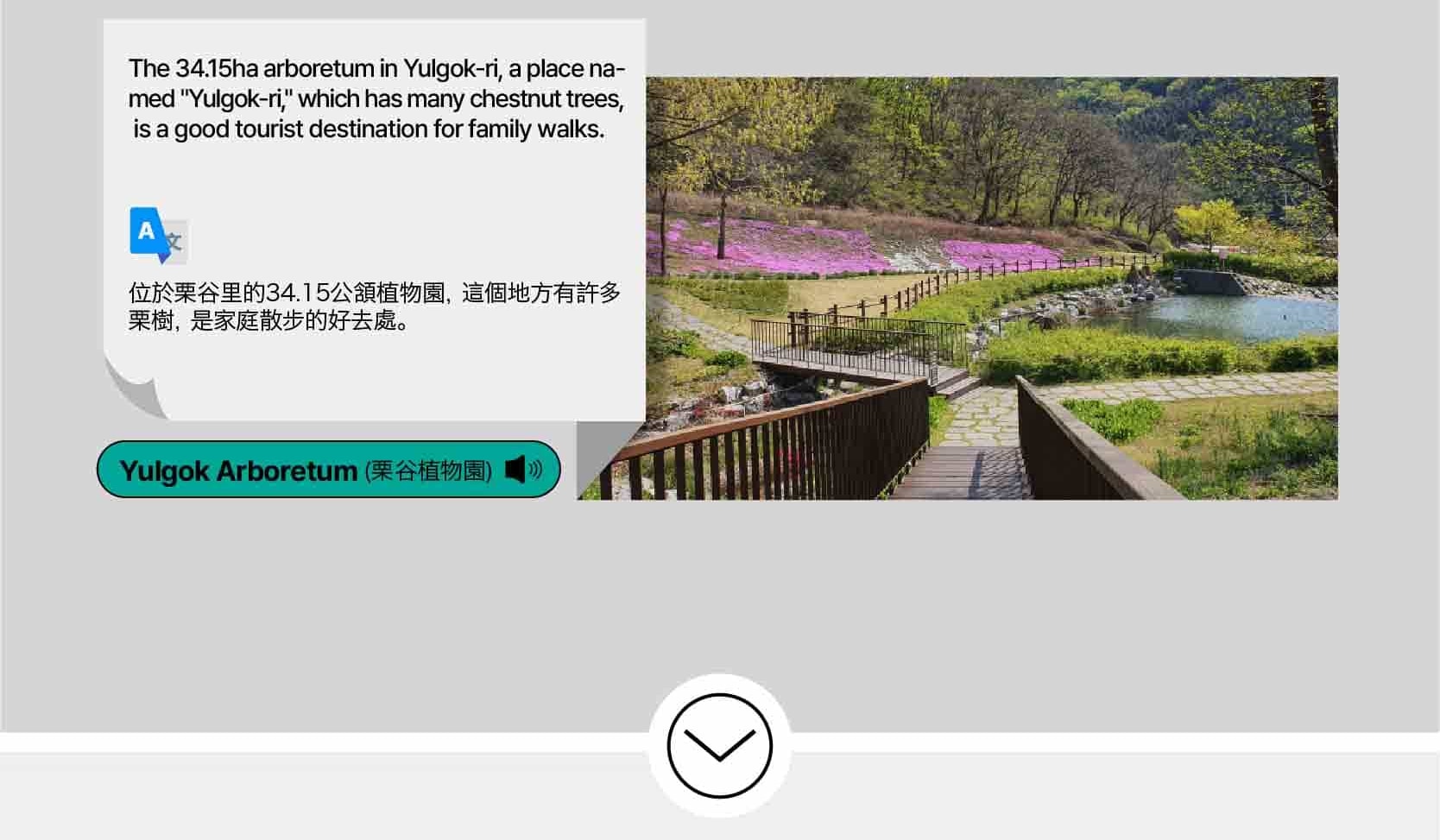 首爾私人訂製汽車之旅