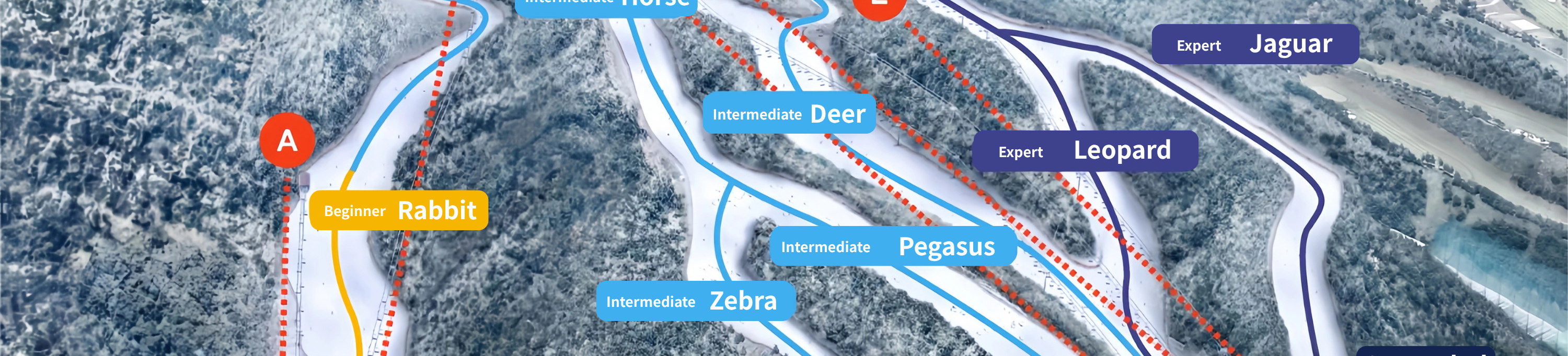 無論您是滑雪新手或滑雪高手，都能盡情享受多樣化的滑雪道，還能在附近的易遊網獨家貴賓室放鬆身心