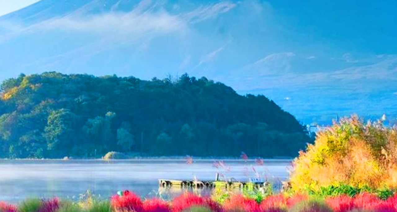 富士山浪漫一日遊｜邂逅四季的夢幻景緻與打卡聖地