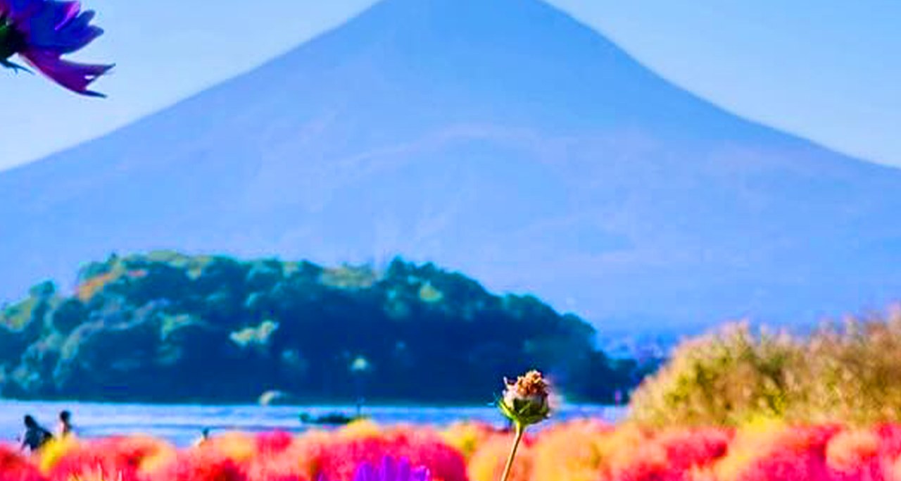富士山浪漫一日遊|邂逅四季的夢幻景緻與打卡聖地 富士山浪漫一日遊|邂逅四季的夢幻景緻與打卡聖地