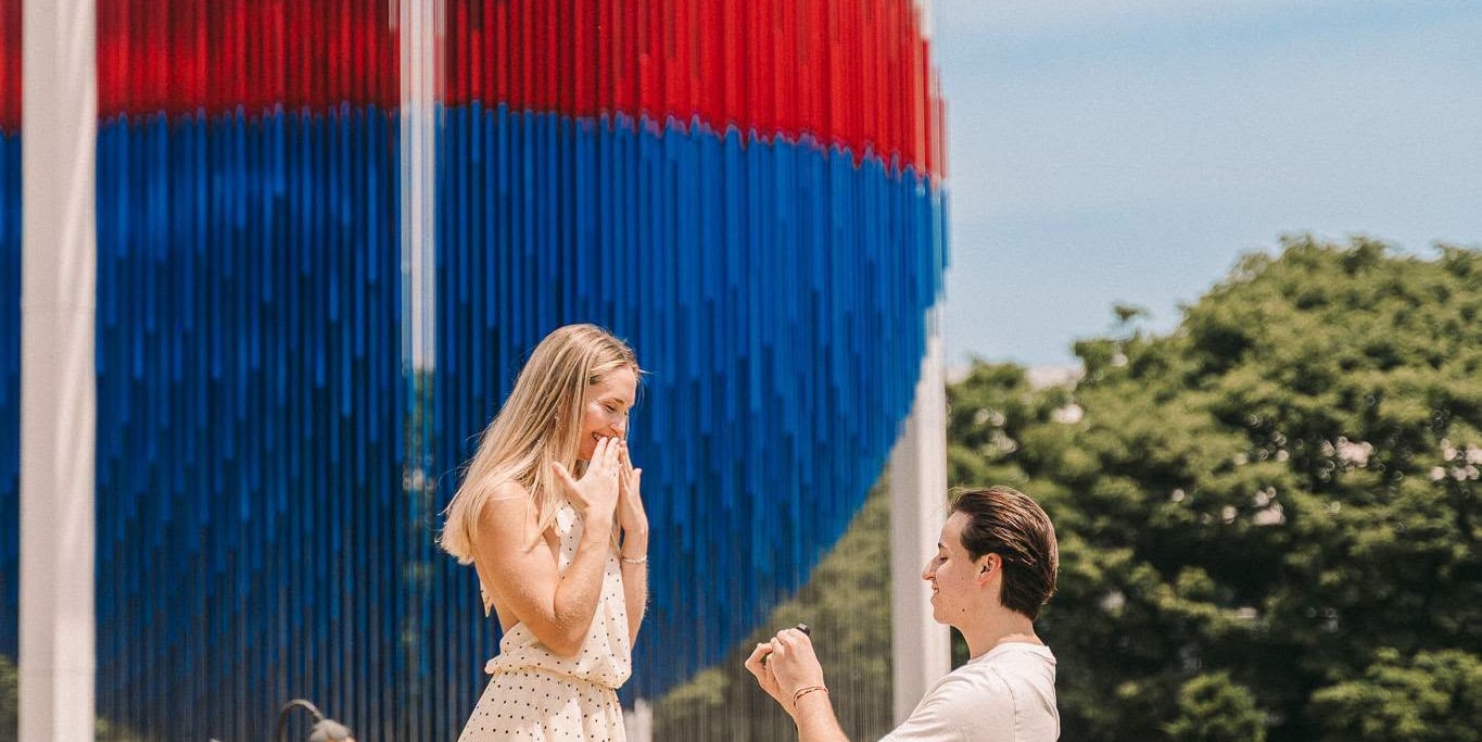 Surprise Proposal Photography & Planning - Thumbnail 105