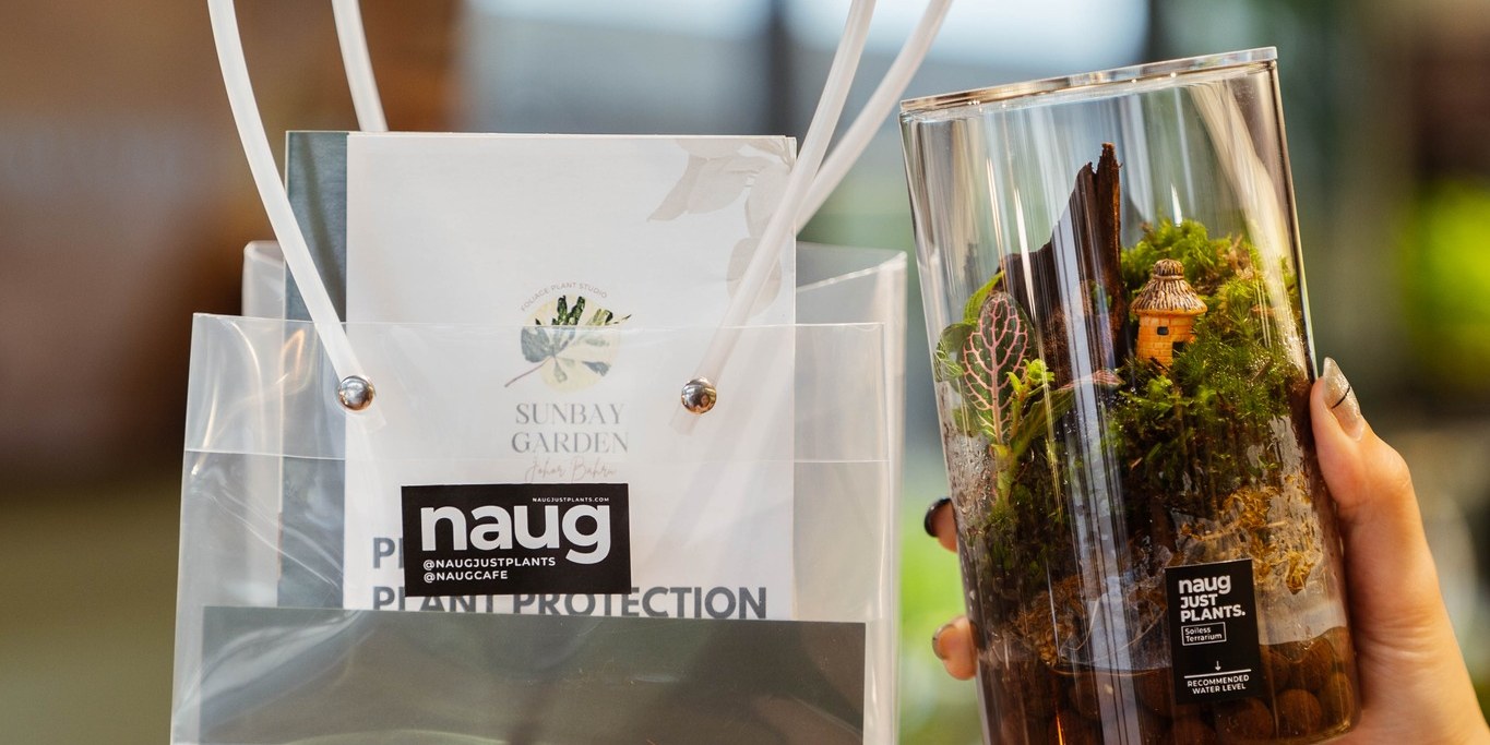Soilless Terrarium DIY Workshop