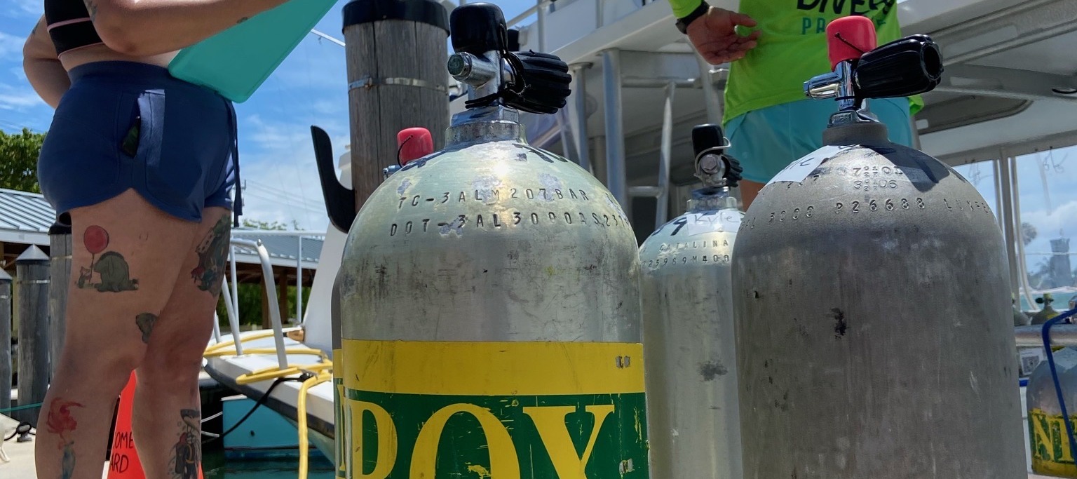 探索更多：PADI 比斯坎灣高氧課程 5* 潛水中心