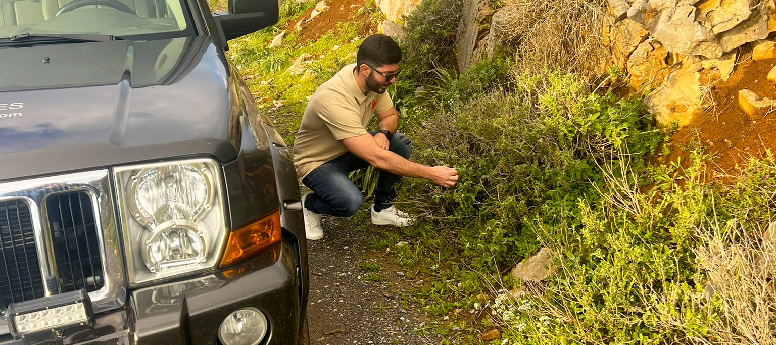 Learn About Cretan Herbs on a Scenic Mountain Safari