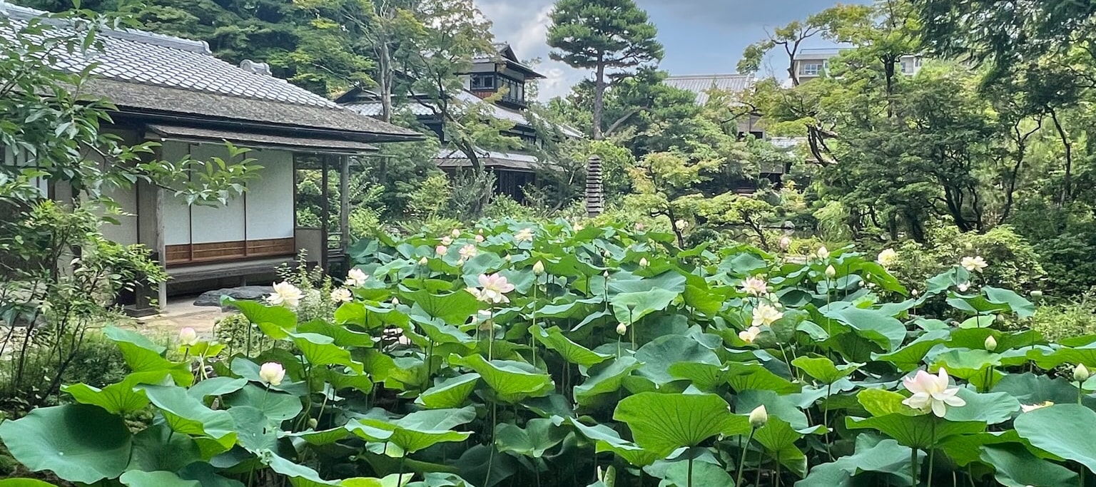 京都日式花園茶道體驗