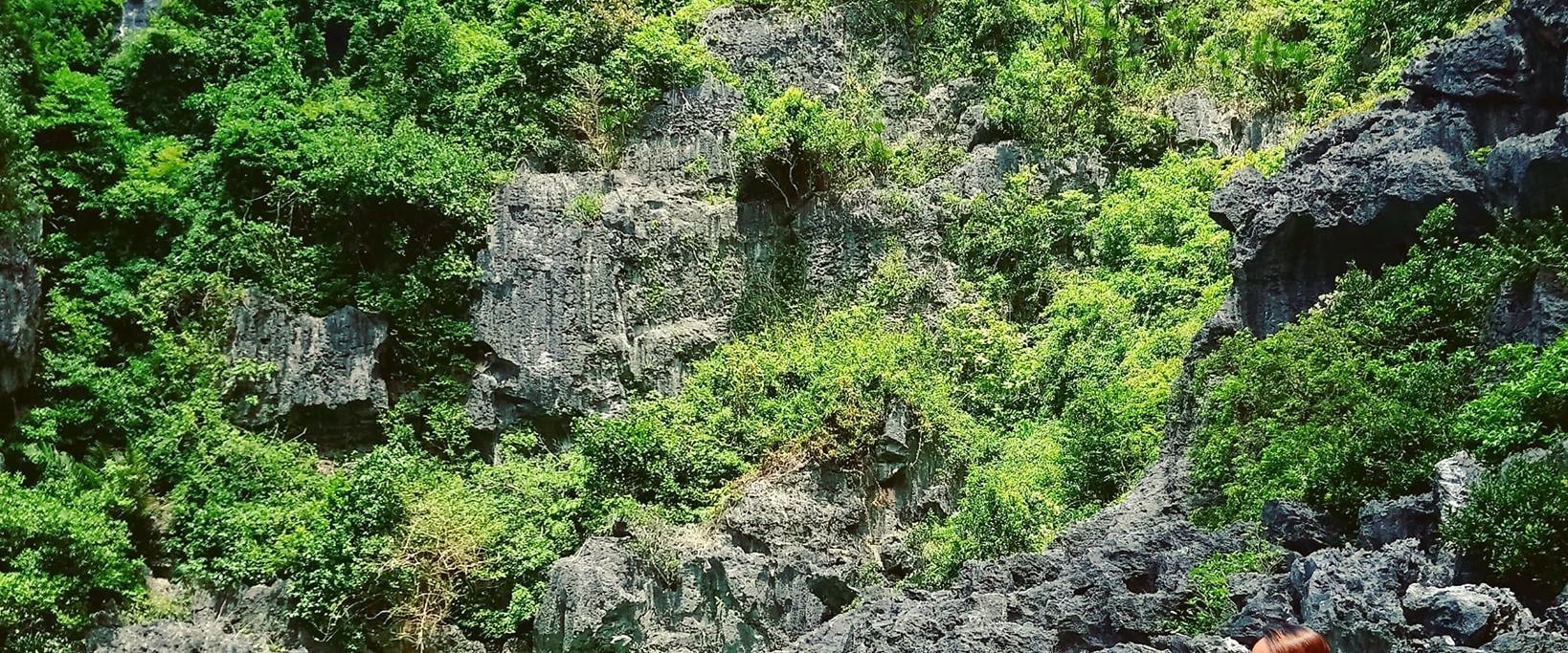 吉甘特斯群島私人一日遊（含海鮮午餐）