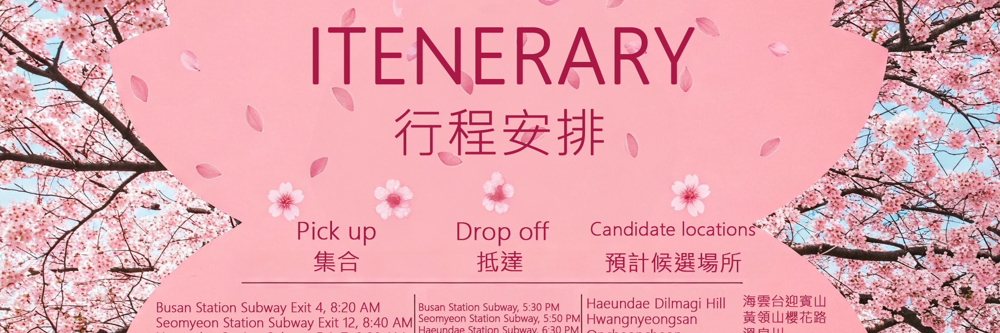 釜山賞櫻一日遊