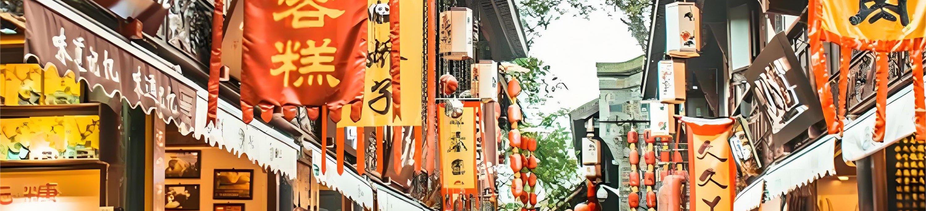 成都私人導覽1日遊 武侯祠 錦裡 杜甫草堂 人民公園茶館