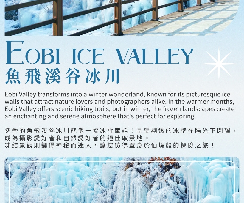 Eobi Ice Valley & Alpaca & Strawberry & Nami & Lighting Festival