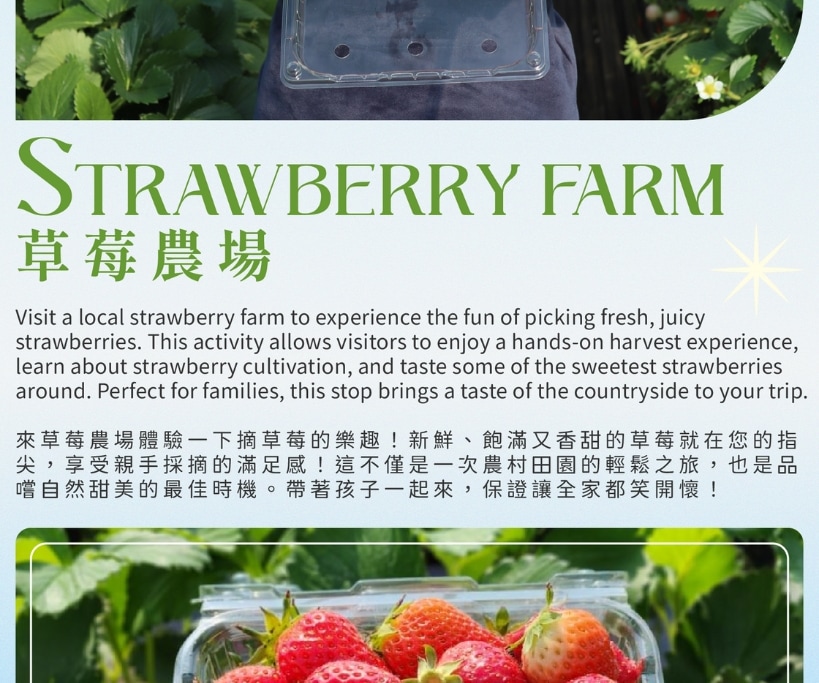 Eobi Ice Valley & Alpaca & Strawberry & Nami & Lighting Festival