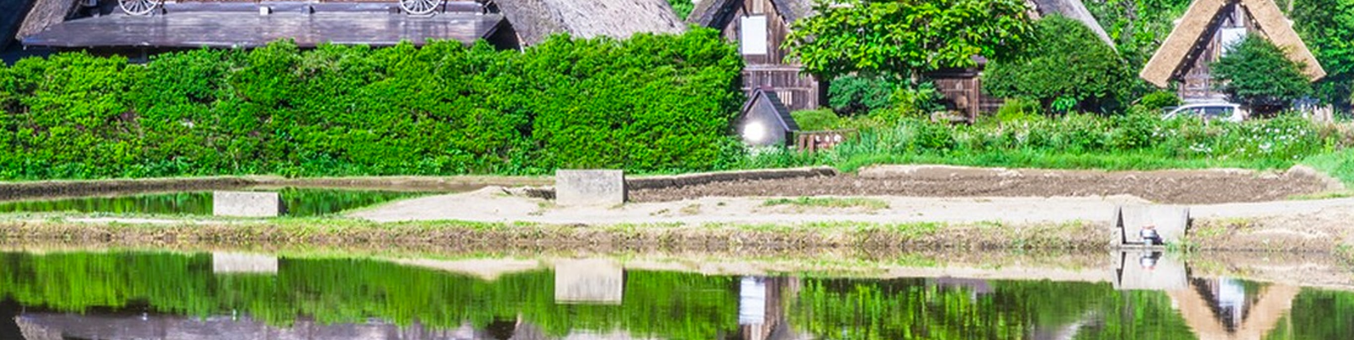 🏡 白川鄉合掌村・四季
春櫻新綠、夏木蒼翠，秋染楓紅，冬雪覆頂。四季流轉間，古樸木屋藏盡山野詩意，宛若人間童話。