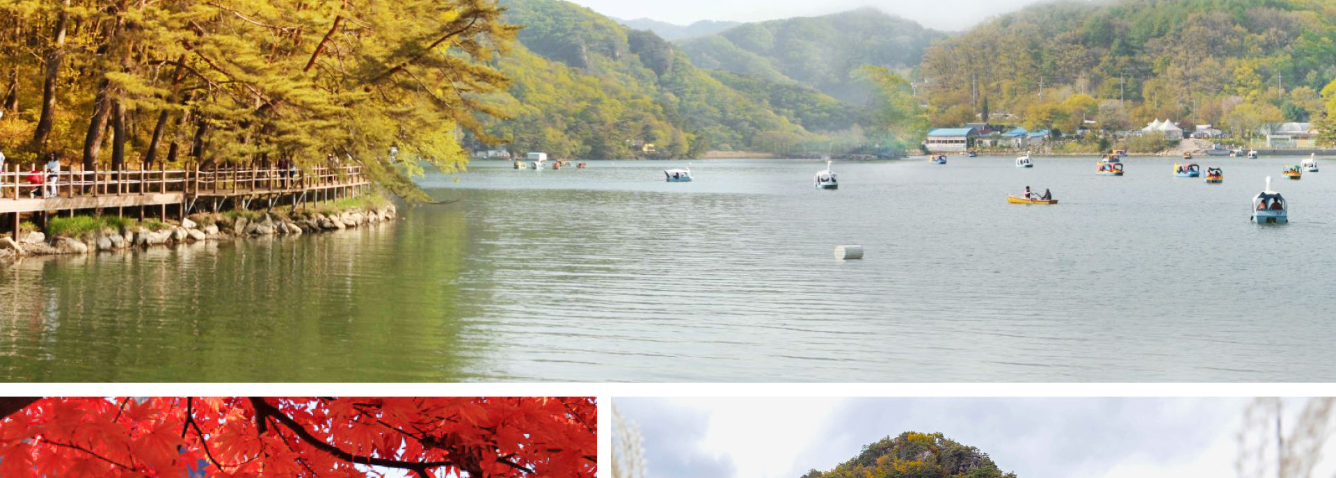 秋天將湖泊籠罩在火紅、橙色和黃色的樹葉中。家人和朋友們聚集在一起，享受划船的樂趣，並在樹下拍攝無盡的照片。🌾