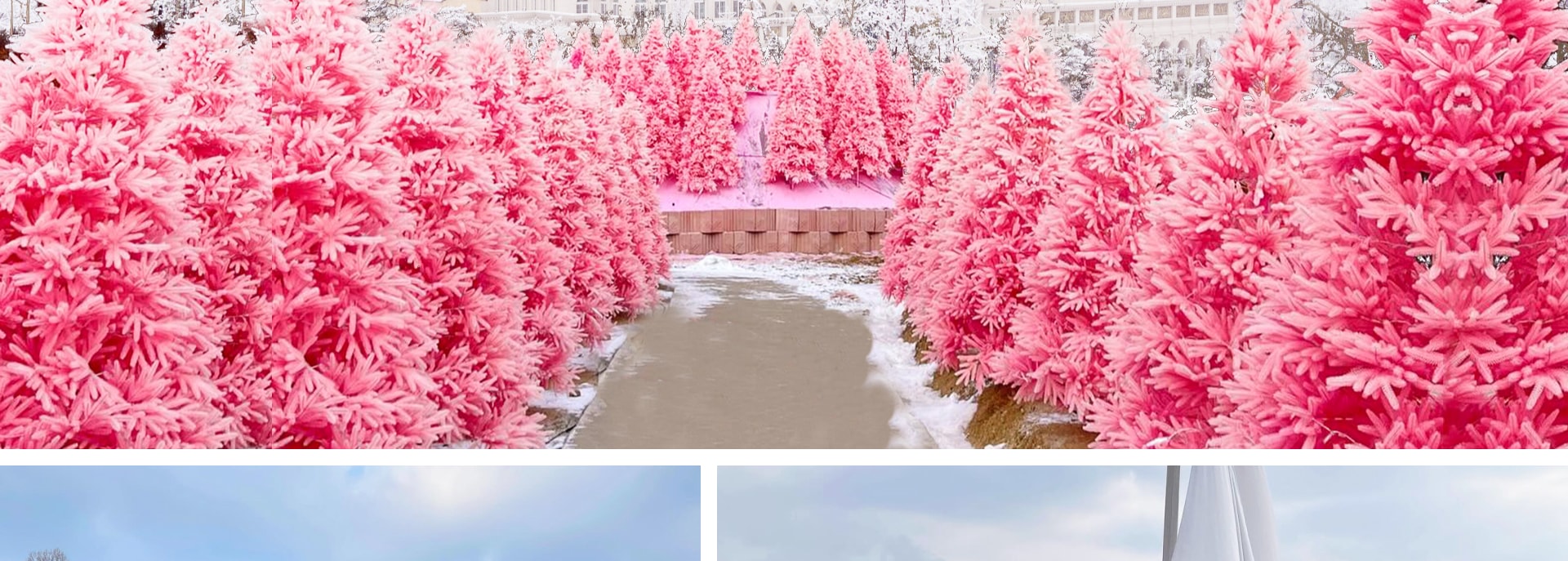 ❄️步入香草島樂園（Herb Island）的夢幻冬季仙境，閃爍的燈光和白雪皚皚的花園營造出夢幻般的節日氛圍。這裡是捕捉難忘冬季回憶的完美之地。