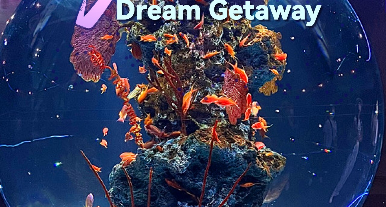 One-day trip to Kobe's famous landmark | Round trip from Osaka, late departure and late return | Nunobiki Herb Gardens + ATOA Aquarium / Meriken Park optional + Mt. Maya night view