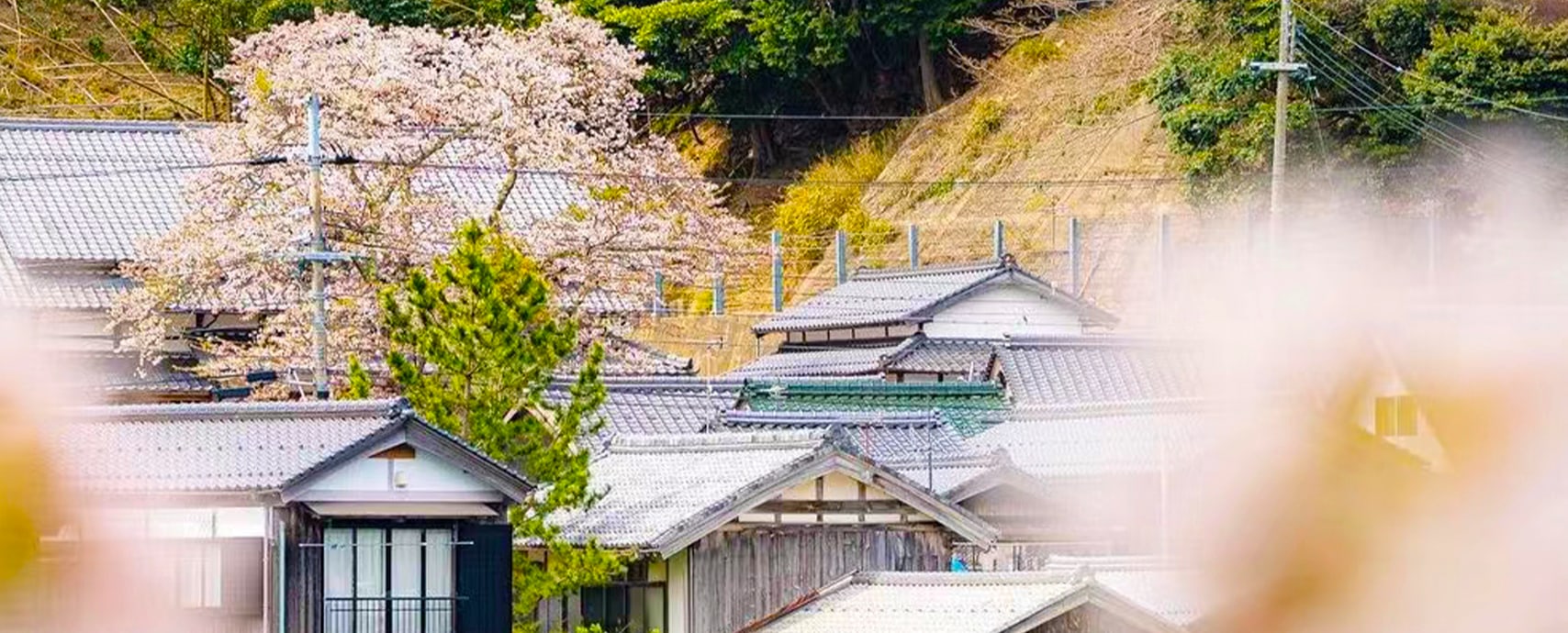 京都天橋立&伊根舟屋&京都合掌村美山茅屋一日遊 (大阪出發)