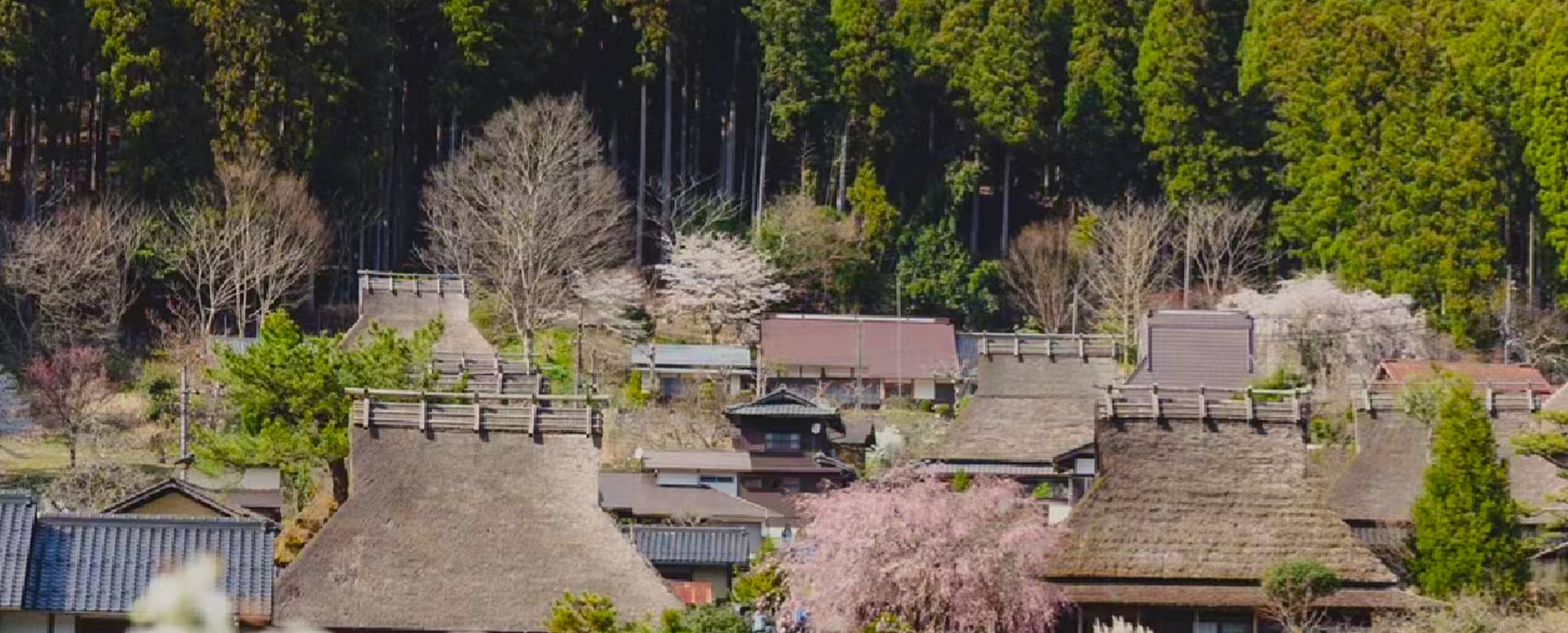 京都天橋立&伊根舟屋&京都合掌村美山茅屋一日遊 (大阪出發)