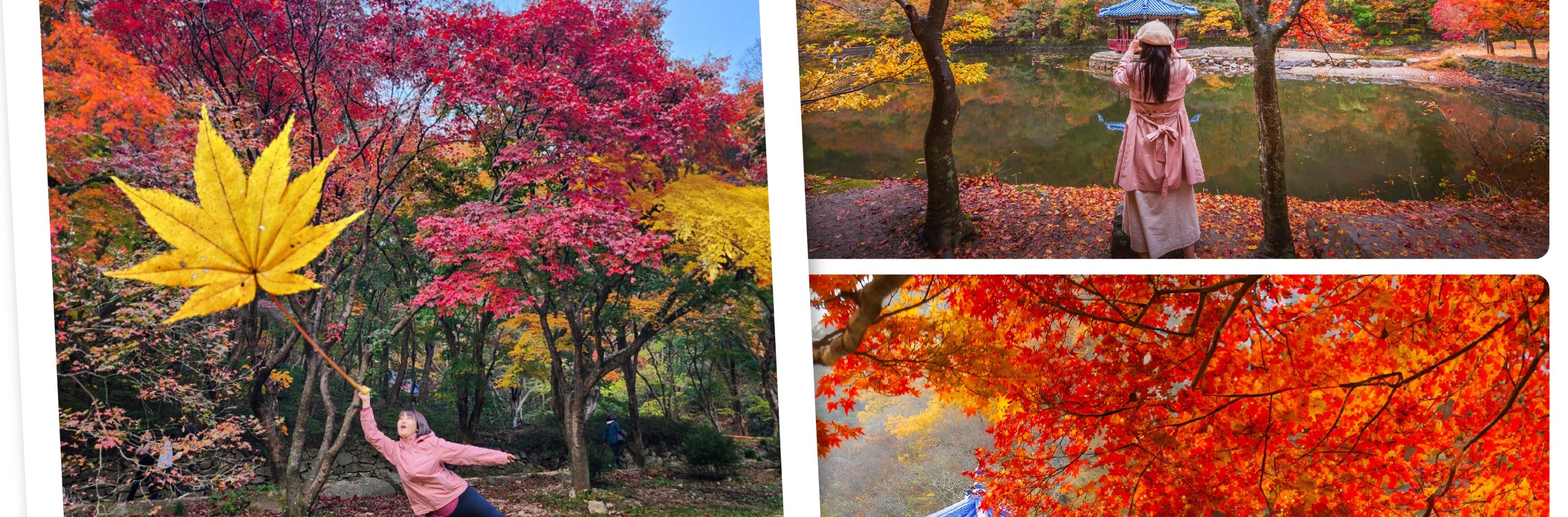 內藏山國立公園秋季賞楓一日遊（首爾出發）