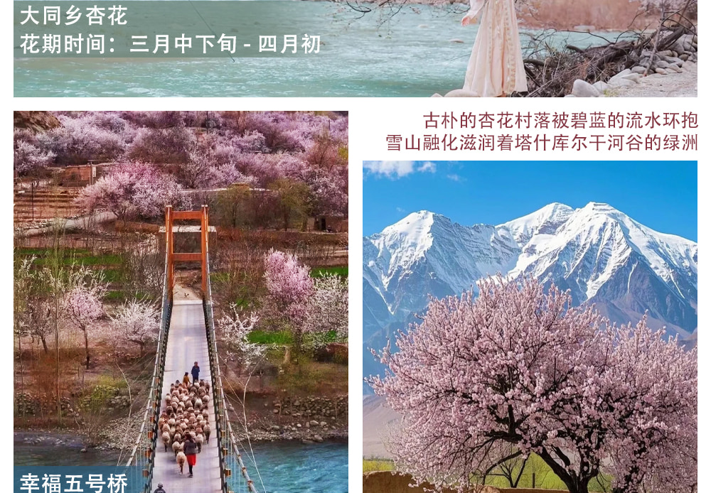 新疆南疆杏花私家7日（不周山野奢營地+日照金山+白沙湖觀景愛帕民宿+塔爾鄉杏花村+木吉冰火幻境+盤龍古道+慕士塔格4號冰川+雪柳樹洞）