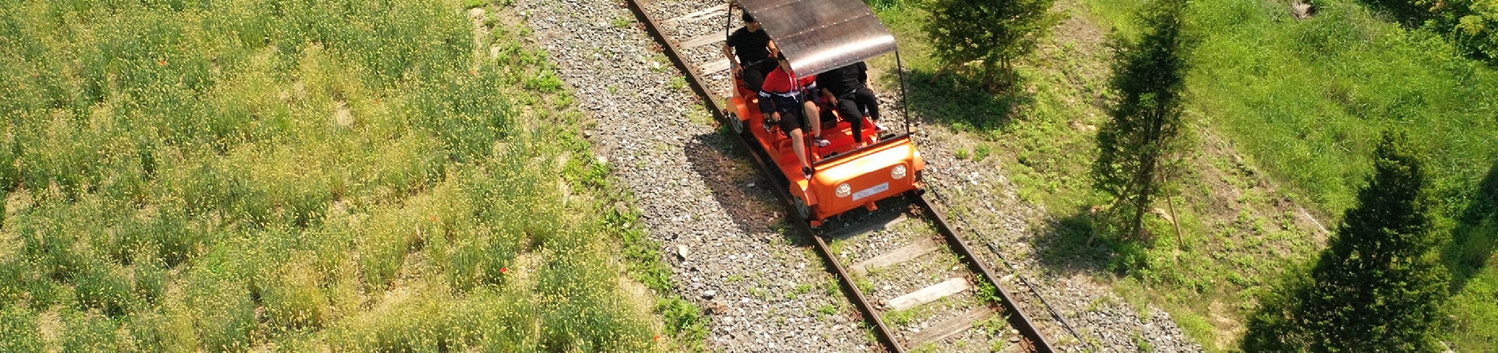 南怡島／草泥馬／鐵道自行車／小法國村／晨靜樹木園／海棠花園之旅