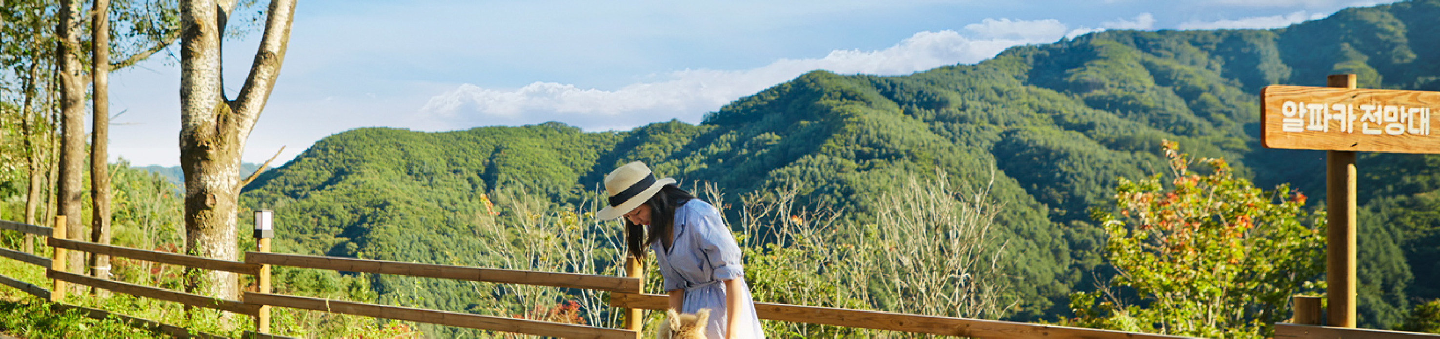 南怡島／草泥馬／鐵道自行車／小法國村／晨靜樹木園／海棠花園之旅