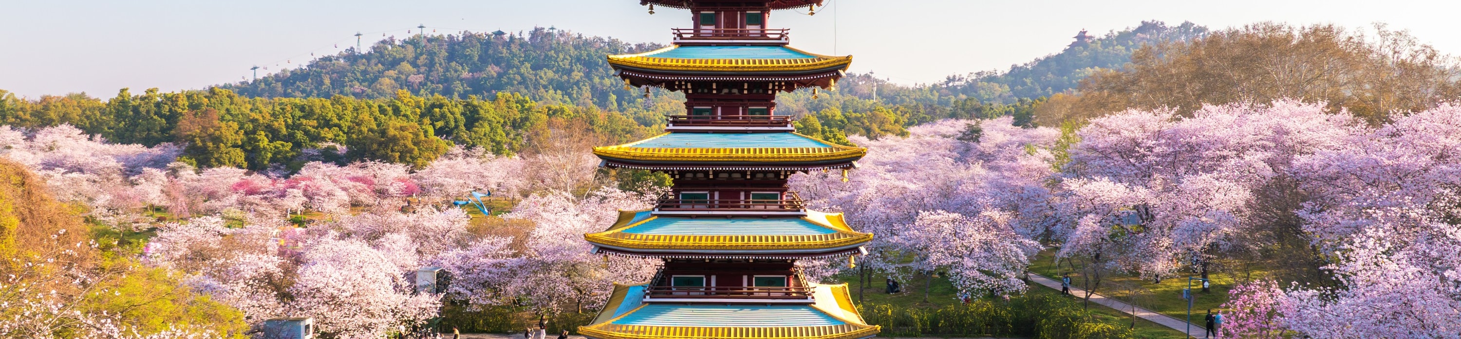 東湖櫻花園