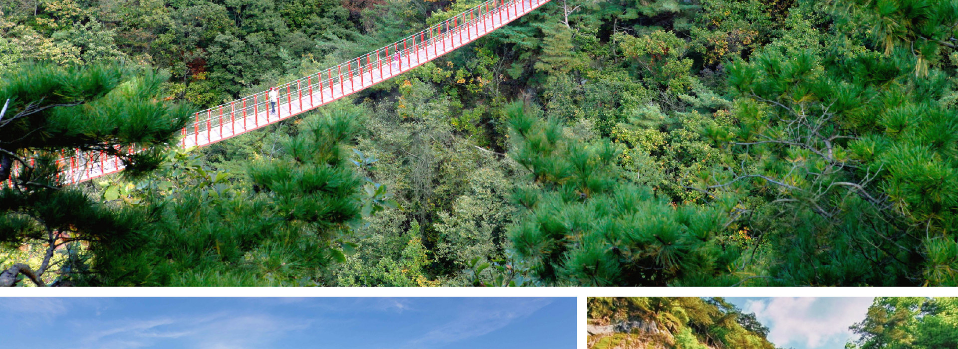 在紺岳山享受夏日，輕鬆行山，遠離城市酷熱，煥發身心！🌷