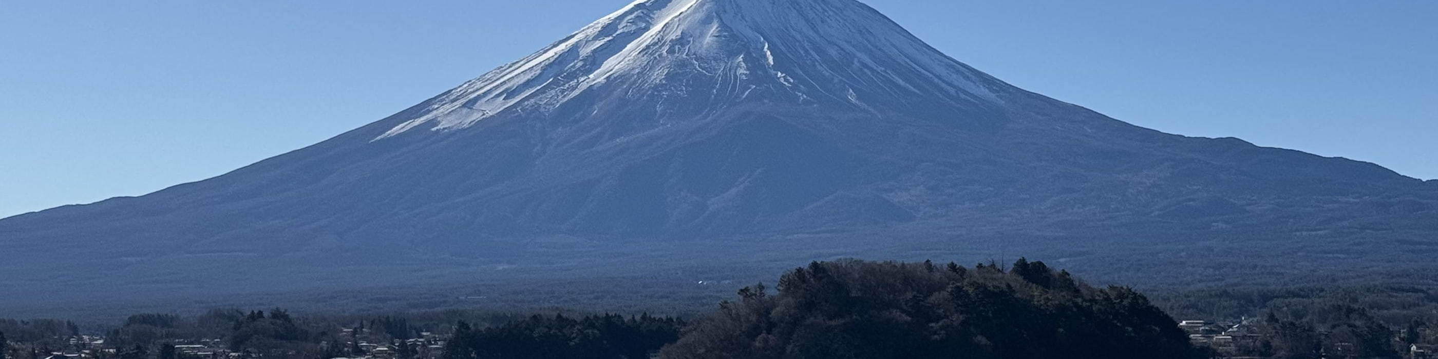 【中文／英語導遊】東京站出發富士山河口湖山中湖必玩一日遊
