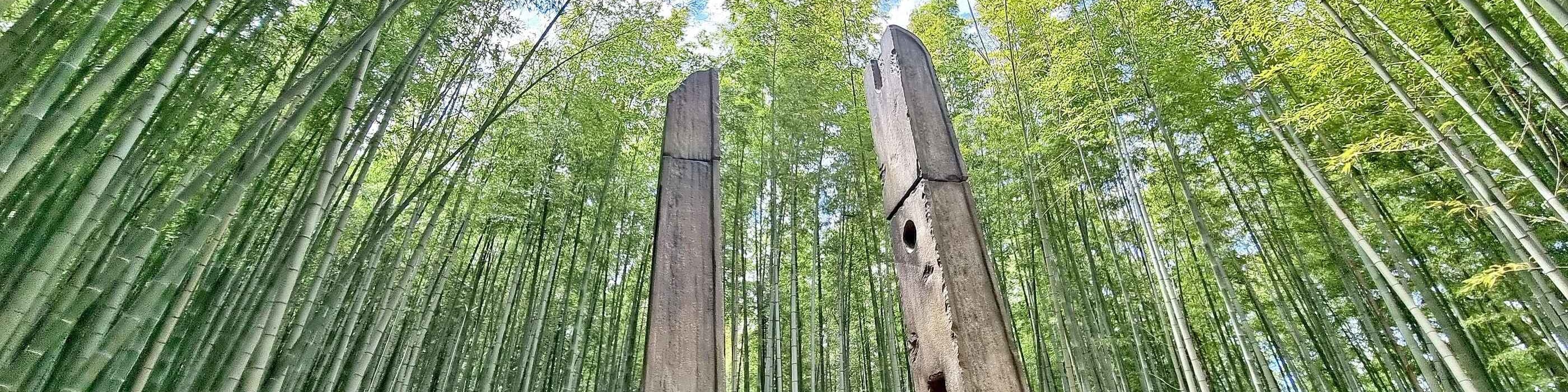 阿合山森林:沉浸在阿合山森林神秘而高聳的竹林中,這是一處保存了數世紀的隱藏版電影秘境。 阿合山森林:沉浸在阿合山森林神秘而高聳的竹林中,這是一處保存了數世紀的隱藏版電影秘境。