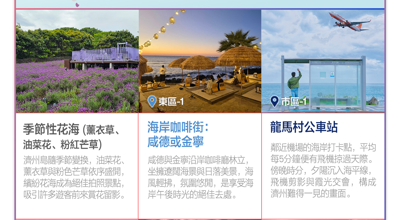 濟州島私人包車遊，帶專業司機兼導遊