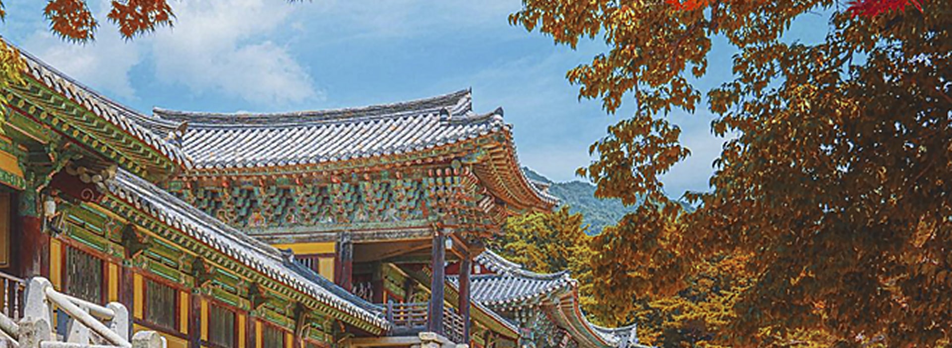 Gyeongju, once the capital of the Silla Kingdom, is often referred to as "the museum without walls"
