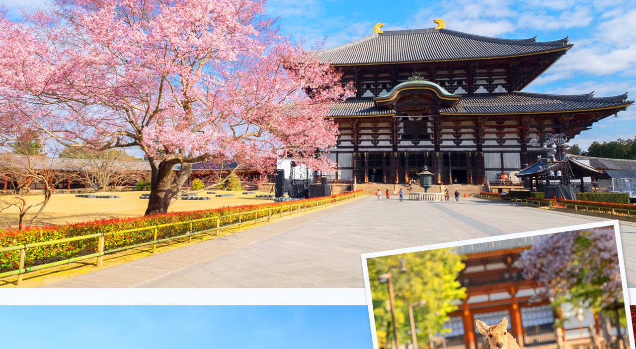 京都奈良嵐山一日遊 | 奈良公園喂小鹿&伏見稻荷千本鳥居&嵐山小火車&竹林小徑 |京都或大阪下車