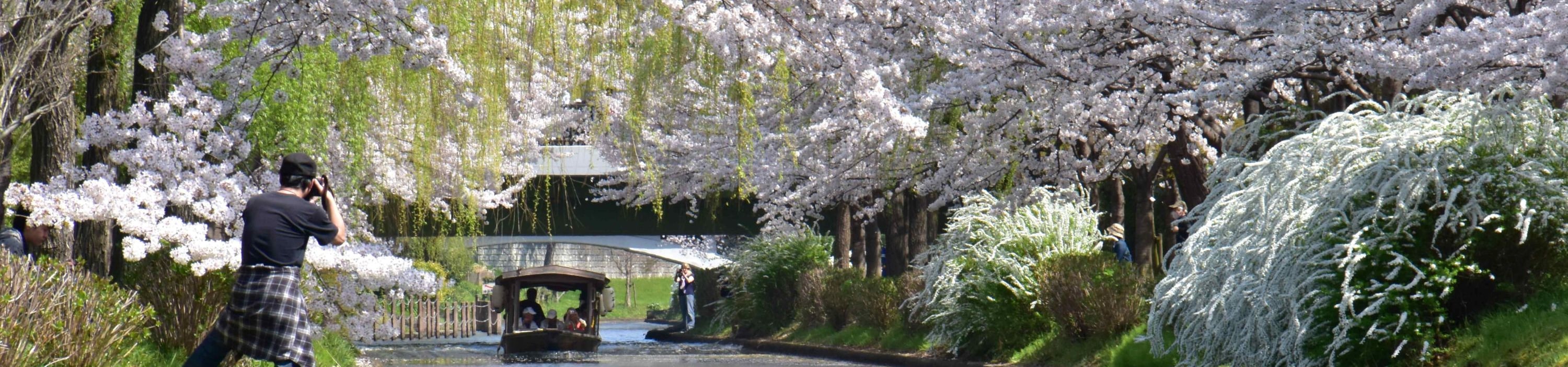 木舟緩緩前進,水波映照古街景,呈現伏見特有的復古氛圍。 木舟緩緩前進,水波映照古街景,呈現伏見特有的復古氛圍。