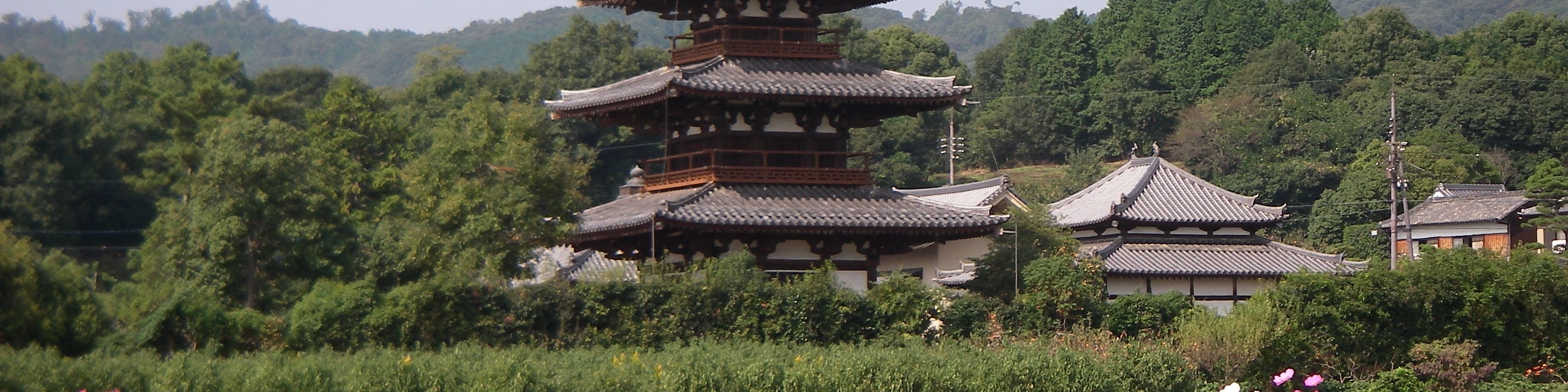 [Nara] Tour of 1400 years of history / Choose your transportation 