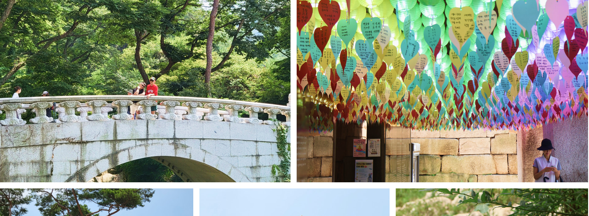 探索傳統寺廟，聆聽大自然寧靜的聲音。